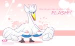  anthro avian beak bird bra breasts david_nathan_dawkins donotdelete female flashing goose nintendo nipples pok&#233;mon pok&#233;morph pok&eacute;mon solo swan swanna underwear video_games wallpaper widescreen 