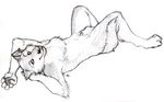  balls canine greyscale lying male mammal monochrome nude on_back penis plain_background sheath sketch skulldog solo white_background wolf 