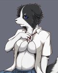  blue_eyes breasts canine chubby clothing dog female mammal shirt skirt solo tail 