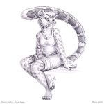  2010 by-nc-nd feline female pencils sitting snow_leopard snow_lynn solo theolven 