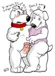  anthro balls blush bottle bottomless brian_griffin canine chubby collar dog drunk duo ear_piercing earring erection family_guy gay incest jasper male mammal penis piercing plain_background precum tail unknown_artist white_background 