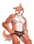  briefs bulge canine fox male muscles noku13456 solo topless underwear 