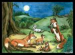  arctic_fox canine cub family female feral fox grass group male moon night tani_da_real tree 