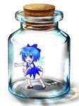  bad_id bad_pixiv_id blue_eyes blue_hair bottle bow cirno cork dress glass hair_bow hair_ribbon in_bottle in_container jar ribbon socks solo touhou wings 