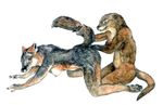  all_fours amagire breasts canine digitigrade female fisting fox grey_fox hindpaw lesbian nipples otter raised_tail tail 