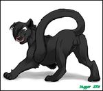  &hearts; balls butt feline feral looking_at_viewer male panther penis pose raised_tail shads sheath solo tail teasing the_shadow_of_light thewhitedemon tongue 