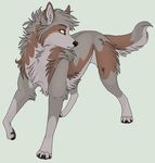  feral male mammal non-anthro plain_background solo unknown_artist white_background wolf 