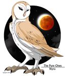  barn_owl beak bird eclipse evil eyes feral guardians_of_ga&#039;hoole guardians_of_ga'hoole ignigeno moon night nyra owl solar_eclipse solo stars sun talons 
