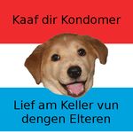  advice_meme canine condom condoms flag image_macro luxembourgish_flag luxembourgish_text mammal not_furry text translated unknown_artist 