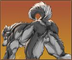  anthro balls butt canine huge_muscles male mammal muscles nude pose rrowdybeast silver_fenrir solo wolf 