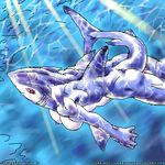  breasts caribbean_blue female fish mariano marine muscles muscular_female nipples sea shark solo water 