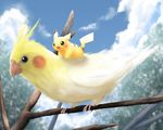  avian bird canary cockatiel nintendo pemyu pikachu pok&#233;mon pok&eacute;mon video_games 