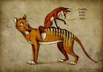  canine couple culpeofox feral fox marsupial thylacine 