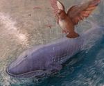  animal bird fail_whale net no_humans ocean realistic twitter whale 