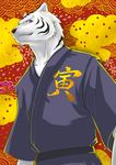  clothing feline japanese_clothing kimono male mammal sky_(artist) solo tiger white_tiger 