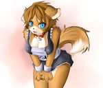  anthro bent_over blue_eyes bone bracelet breasts brown_hair butter_(n&#257;sheru) canine choker cleavage clothed clothing collar curves cute dog female fluffy fluffy_tail hair hi_res japanese jewelry looking_at_viewer mammal n&#257;sheru open_mouth paws pose solo unknown_artist voluptuous wide_hips 