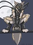  canine gloves grey keanon_woods male mask moon muscles night ninja perched solo wolf 