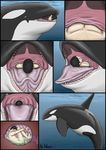  cetacean dolorcin human marine orca swallow tongue vore 
