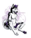  canine canine_penis cum dog husky knot male paws penis piercing purple_eyes solo tongue truegrave9 
