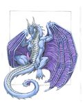  acidapluvia blue_body dragon feral horn horns male non-anthro penis purple purple_body solo spread_legs spreading wings 