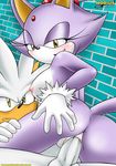  anus blaze_the_cat blush breasts feline female gloves mobian mobius_unleashed nude penetration penis purple pussy riding sega silver_the_hedgehog smile sonic_(series) vaginal vaginal_penetration 