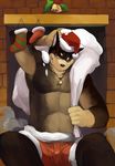  canine christmas christmas_stockings dog hat holidays male mammal necklace sack santa_hat solo stocking vu06 xmas 