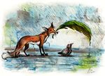  bird canine culpeofox duo feral fox leaf male mammal rain raining tail water 