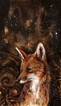  canine culpeofox feral fox mammal night non-anthro solo 