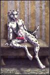  balls canine collar dalmatian digitigrade dog ear_piercing earring erection gloves hollbain knot looking_at_viewer male nipple_piercing nipples nude penis piercing pose presenting sitting solo spots spread_legs spreading tail tie tongue tongue_piercing tricolor ultraviolet 