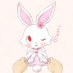  &hearts; blush cherry cub female flower japanese_text jewel_pet kamekichi lagomorph mammal one_eye_closed panties rabbit red_eyes ruby ruby_(jewel_pet) sanae text translated underwear undressing wink young 