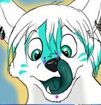  artica_sparkle canine color icon licking low_res mammal nose peanertgallery piercing portrait solo tongue wolf 
