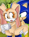  bdsm bondage cream_the_rabbit cub cuffs female from_behind hedgehog male mobian mobius_unleashed penetration penis pussy riding sega sonic_(series) sonic_the_hedgehog tongue vaginal vaginal_penetration 
