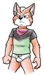  briefs bulge canine cirrus fox fox_mccloud male solo star_fox underwear video_games 