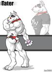 butt canine collar dog ear_piercing jax_the_bat male mammal muscles piercing pose solo tail_clothing tater thong 