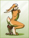  balls blush collar lagomorph male mammal nude rabbit simple_background solo stool whitelock zambuka 