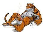  cum erection feline male mammal masturbation muscles penis solo tiger unknown_artist 