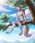  2010 brown_eyes canine clouds hyhlion male mountain nude outside sky solo tree wolf 