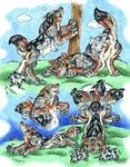  avian canine feral gryphon outside vore watergazer_wolf wolf 