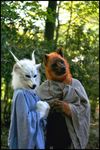  forest fursuit hybrid mammal photo qarrezel real robes tree trees wolf wood 