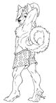  aura_moser auradeva boxers canine dog hair male mammal plain_background pose solo underwear white_background 