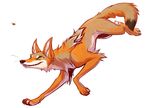  action_pose bee canine coyote hunting squeedgemonster tail 