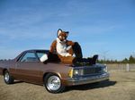  canine car chevrolet_el_camino fox fursuit jimdalefox looking_at_viewer male mammal nature outside photo pose real sandals solo tree trees unknown_artist vehicle wallpaper wood yellow_eyes 