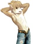  :d arms_behind_head brown_eyes canine dog kiske_7key looking_at_viewer male pants solo standing topless 七鍵きすく 
