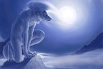  aryte blue_eyes canine crouching digitigrade hair hibbary male moon night outside snow solo white white_hair winter wolf 