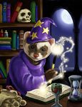  books ferret goblet hat hourglass looking_at_viewer magic magic_user mammal moon mustelid robe sand scroll skull stars unknown_artist wand window wizard 
