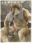  animal_genitalia balls black_nose canine canine_penis erection gloves grin kaputotter knot looking_at_viewer male mammal nude penis sitting solo towel wolf yellow_eyes 