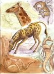  giraffe hybrid mammal paso what_has_science_done wings 