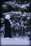  bird birdhouse canine fursuit mammal photo qarrezel real realistic robe snow tree wolf wood 