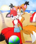  background ball beach canine collar couple fox gay hug jamesfoxbr jamesfoxbr_(character) jonhs-kitsune_(character) kitsune looking_at_viewer love male multiple_tails open_mouth orange red sand seaside sky sun tail umbrella water 