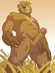  bear leonhusky male mr._honeybum nude solo worm&#039;s_eye_view 